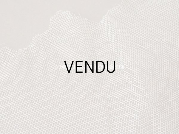 画像4: アンティーク リボン柄の刺繍入り 幅広チュールレース 幅26.5cm (4)