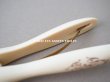画像5: 19世紀末 アンティーク モノグラム入り グローブ用　パンス　 (5)