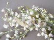 画像3: 1900年代 アンティーク 鈴蘭の布花 (3)