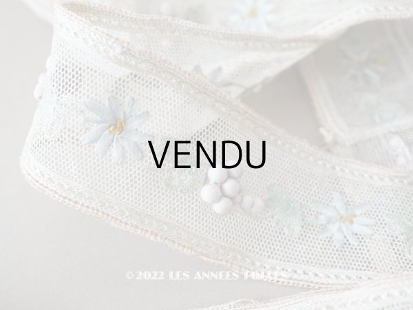 画像1: 19世紀末 アンティーク トリム リボン刺繍 4.65m  約5.4cm幅  (1)