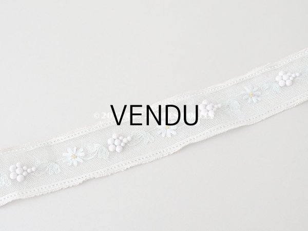 画像9: 19世紀末 アンティーク トリム リボン刺繍 4.65m  約5.4cm幅  (9)