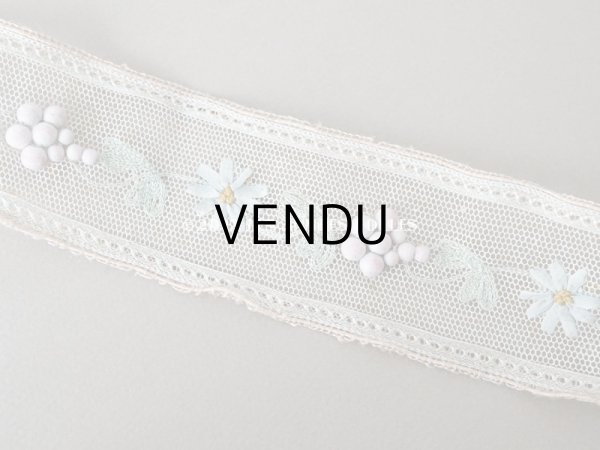 画像2: 19世紀末 アンティーク トリム リボン刺繍 4.65m  約5.4cm幅  (2)