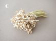 画像8: アンティーク オフホワイトの布花　小さなブーケ (8)