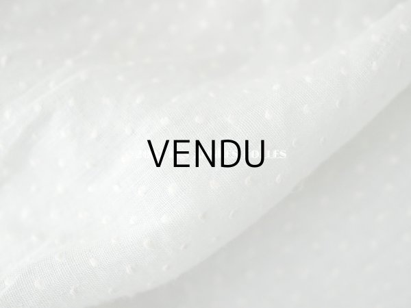 画像12: アンティーク ドット刺繍入り パウダーブルーのファブリック ベビードレス  (12)