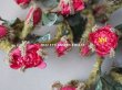 画像3: 19世紀　ナポレオン3世時代 アンティーク 薔薇の布花のセット　 (3)