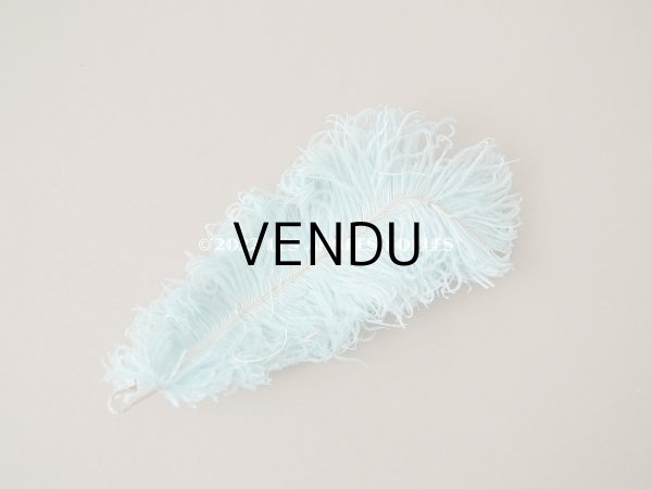 画像5: アンティーク 小さなフェザー 淡いブルー 羽飾り  (5)