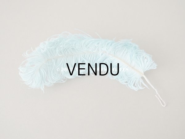 画像7: アンティーク 小さなフェザー 淡いブルー 羽飾り  (7)