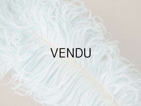 画像4: アンティーク 小さなフェザー 淡いブルー 羽飾り  (4)