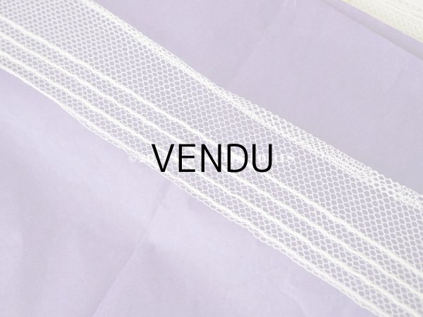 画像5: 1900年代 アンティーク ライン入り　チュールレース  約30m 約4cm幅  (5)