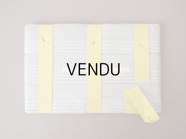 画像3: 1900年代 アンティーク ライン入り　チュールレース  約30m 約4cm幅  (3)