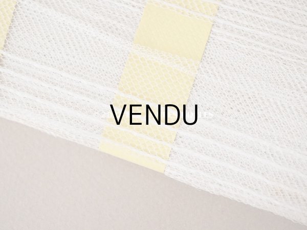 画像4: 1900年代 アンティーク ライン入り　チュールレース  約30m 約4cm幅  (4)