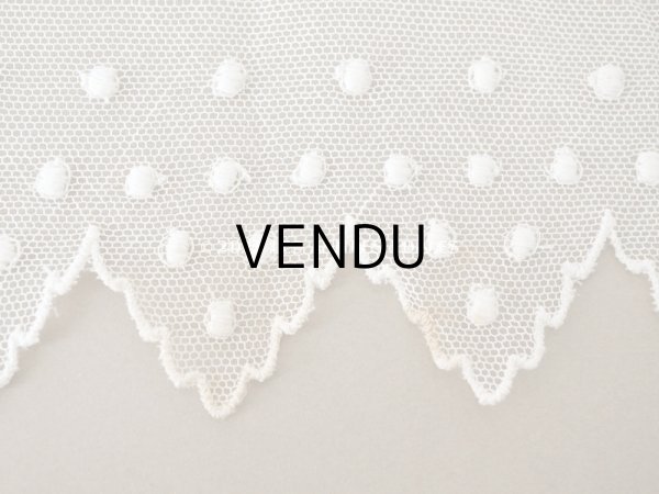 画像6: アンティーク ドット刺繍入り　スカラップ チュールレース オフホワイト　2.65m 幅11cm (6)