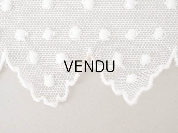 画像5: アンティーク ドット刺繍入り　スカラップ チュールレース オフホワイト　2.65m 幅11cm (5)