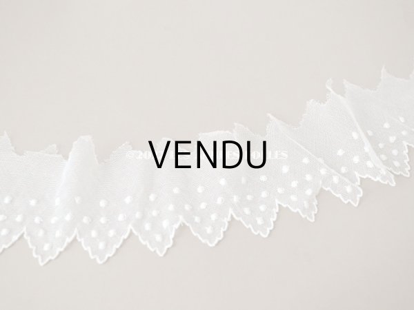 画像4: アンティーク ドット刺繍入り　スカラップ チュールレース オフホワイト　2.65m 幅11cm (4)