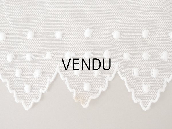 画像7: アンティーク ドット刺繍入り　スカラップ チュールレース オフホワイト　2.65m 幅11cm (7)