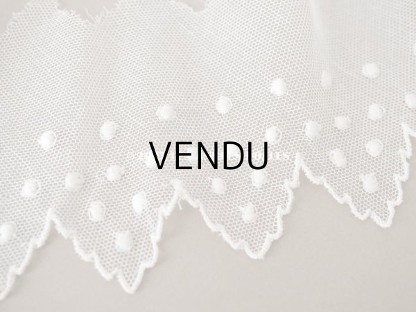 画像3: アンティーク ドット刺繍入り　スカラップ チュールレース オフホワイト　2.65m 幅11cm (3)