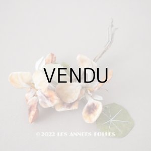 画像: アンティーク ベルベットの布花　パープル＆オレンジ