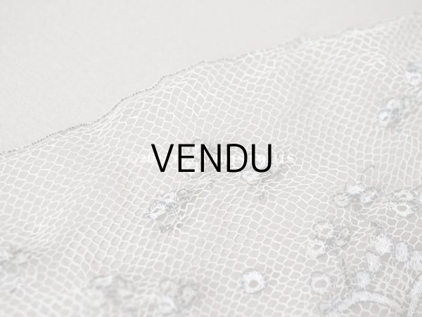 画像4: アンティーク  レース メタル糸の刺繍入り　70cm  (4)