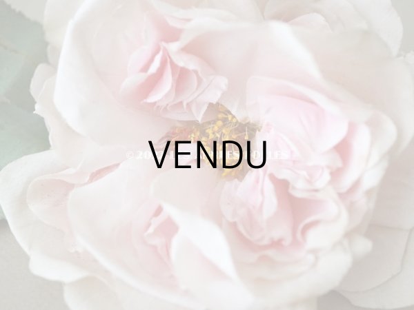 画像5: 1900年代 アンティーク　薔薇の大きな布花 パウダーピンク　クウォーター・ロゼット咲き (5)