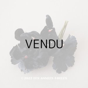 画像: アンティーク ベルベットの布花　黒