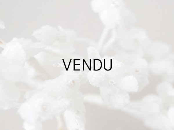 画像6: アンティーク  ベルベットの布花 ホワイト (6)
