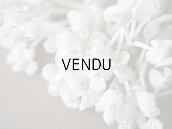 画像5: アンティーク  ベルベットの布花 ホワイト (5)