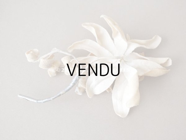 画像6: 1930年代 アンティーク  エーデルワイスの布花 (6)