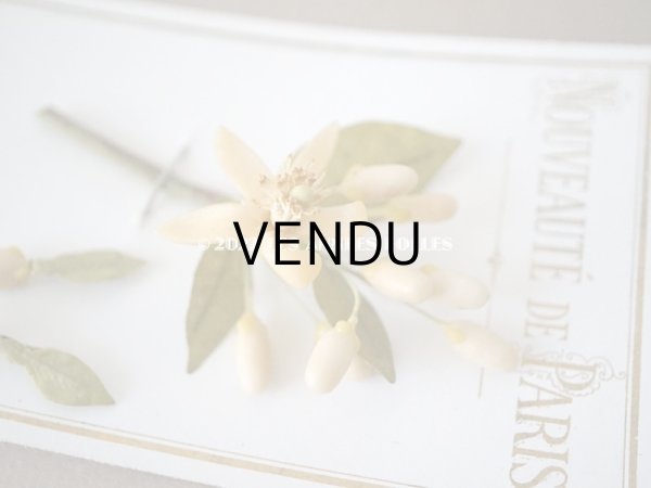 画像3: アンティーク ウェディング用 ワックスフラワーのピアス　＆　胸飾り  台紙付き (3)