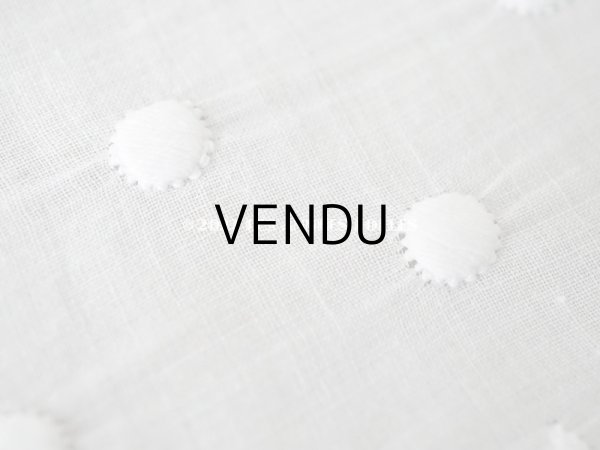 画像5: 【12周年セール対象外】アンティーク ドットの手刺繍　幅広　スカラップレース（生地) コットン製　1.45m 幅26cm (5)