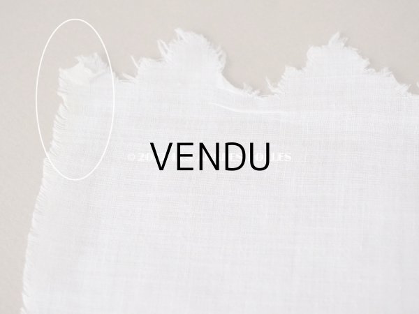 画像10: 【12周年セール対象外】アンティーク ドットの手刺繍　幅広　スカラップレース（生地) コットン製　1.45m 幅26cm (10)