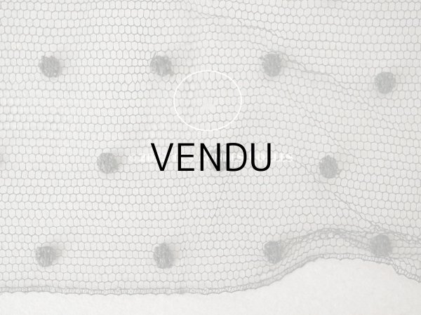 画像6: アンティーク 　幅広チュールレース 黒&ブラウン　ドット柄　幅22.5cm (6)