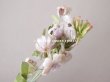 画像7: アンティーク  ベルベットの小さな布花 薄紫＆淡いピンク (7)