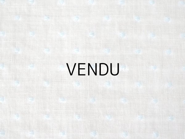 画像2: アンティーク  水色のドット刺繍入り コットン生地  (2)