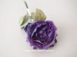 画像1: 1900年代 アンティーク　薔薇の布花 紫 (1)