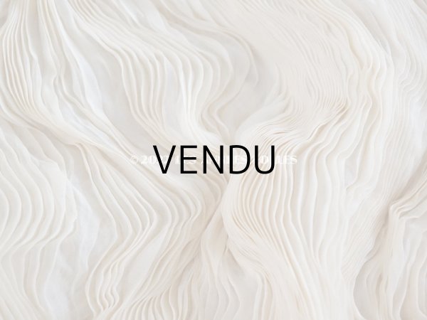 画像15: 1900年頃　アンティーク ウエディングドレスのスカート　シルクシフォンのプリーツ (15)