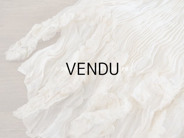 画像9: 1900年頃　アンティーク ウエディングドレスのスカート　シルクシフォンのプリーツ (9)