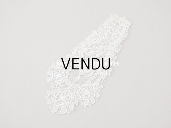 画像3: 19世紀末 アンティーク ポワンドローズの胸飾り ニードルレース  ポワンドガーズ   『ポワン・ド・ガーズ』　『ポワン・ド・ローズ』 (3)