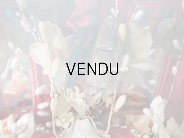 画像9: アンティーク グローブ・ド・マリエ (9)