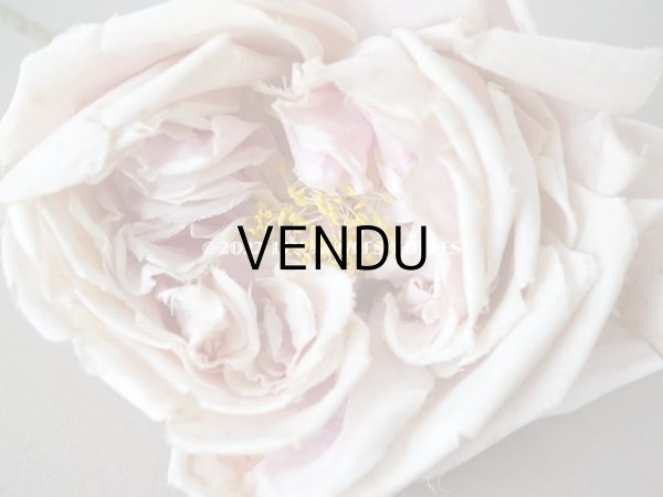 画像4: 1900年代 アンティーク　薔薇の大きな布花 淡いピンク　クウォーター・ロゼット咲き (4)