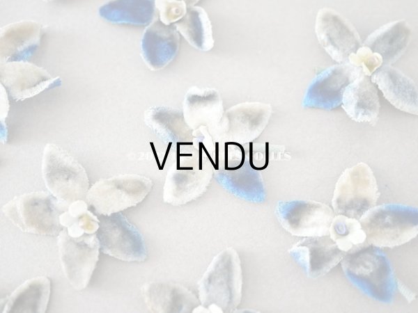 画像8: アンティーク ベルベットの花びらのセット 16〜24ピース 35mm (8)