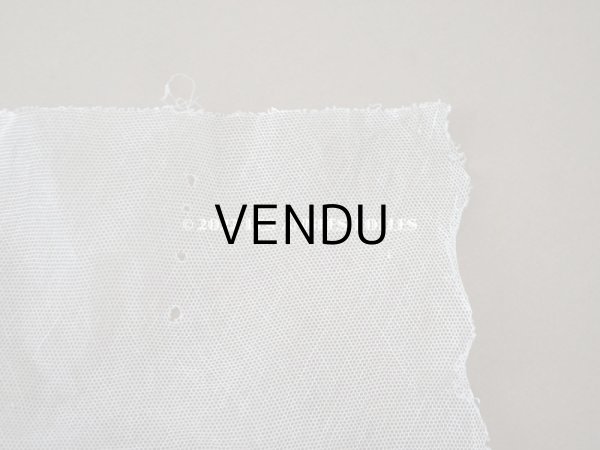 画像3: アンティーク  刺繍入り 幅広 チュールレース 幅24cm (3)