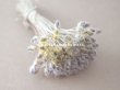 画像9: アンティーク ペップ　ラヴェンダー＆グレー  布花用 花芯 約120ピースの束 (9)