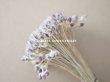 画像4: アンティーク ペップ　ラヴェンダー＆グレー  布花用 花芯 約120ピースの束 (4)