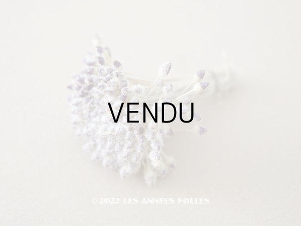 画像1: アンティーク ペップ　ラヴェンダー＆グレー  布花用 花芯 約120ピースの束 (1)