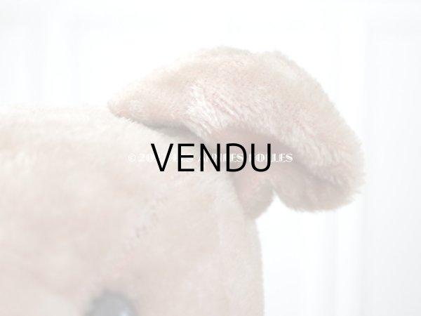 画像13: アンティーク ベア 淡いピンク (13)