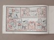 画像5: 1850年代 アンティーク SAJOU  刺繍図案帳 DESSINS DE BRODERIES 139 - SAJOU PARIS - (5)