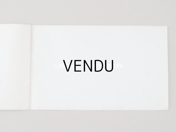 画像12: 1850年代 アンティーク SAJOU  刺繍図案帳 DESSINS DE BRODERIES 139 - SAJOU PARIS - (12)