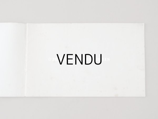 画像3: 1850年代 アンティーク SAJOU  刺繍図案帳 DESSINS DE BRODERIES 139 - SAJOU PARIS - (3)