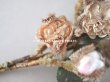 画像3: 19世紀 ナポレオン3世時代 アンティーク 薔薇のブーケの布花 パウダーピンク (3)