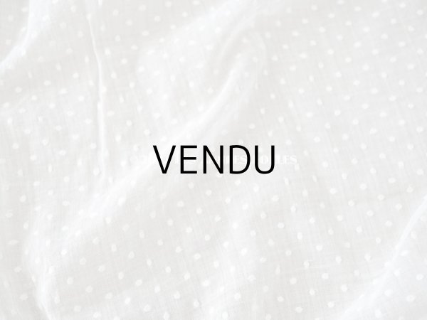 画像4: アンティーク  ドットの刺繍入り コットン生地 78×224cm (4)